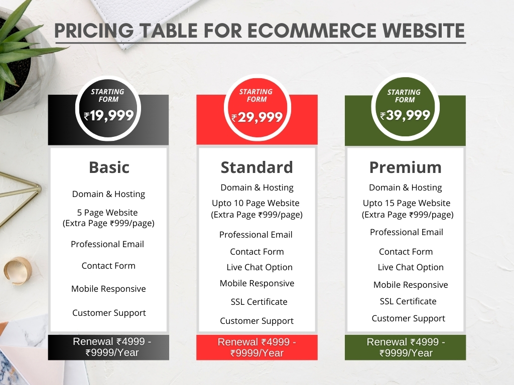Pricing Table For eCommerce Website - Basic, Standard, Premium